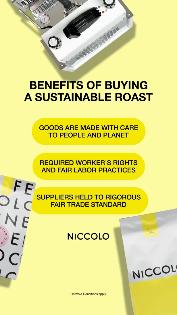 Niccolo ad creative